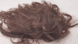Woman natural hair wig_Style -ELI-102336