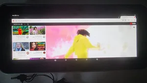 Pandora Mini Kiosk-LCD 12.3 inc-computer screen
