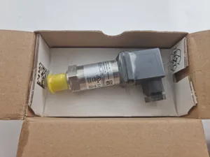 BD SENSORS G-4000-R-1-5-100-300-1-000