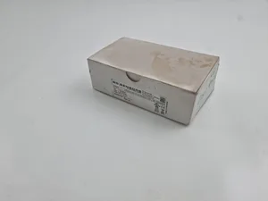 BD SENSORS G-4000-R-1-5-100-300-1-000