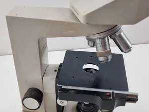 Microscopio Stereo Leica Leitz SM-Lux Mikroskop